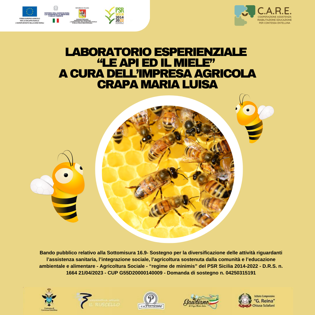 Progetto C.A.R.E. – AVVIO LABORATORIO LE API ED IL MIELE